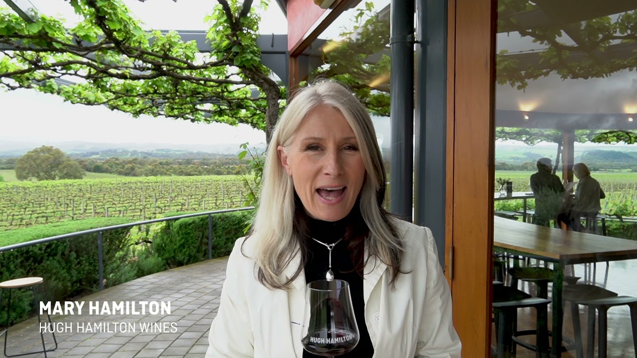 How to Cellar Wine