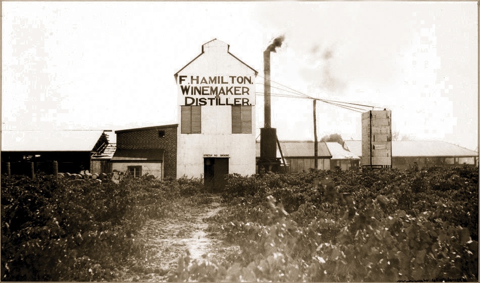 An old, black and white landscape of early Hugh Hamilton Wines, a white building pictured in the mid-ground, the title reading F. Hamilton. Winemaker Distiller. 