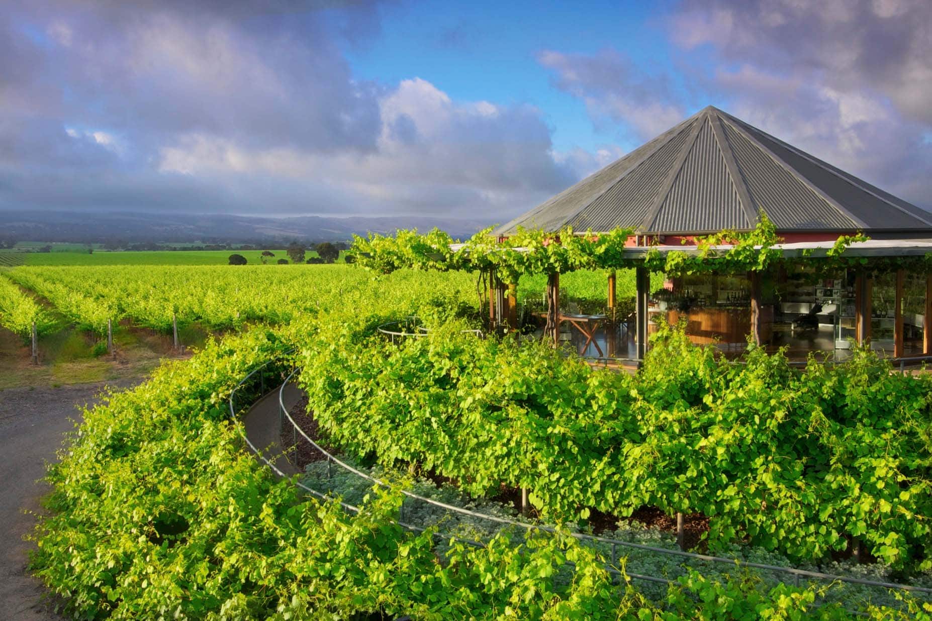 Luscious green vines seen in the background, and foreground. The winery settled in between them, to the left, cloudy grey skies in view above. 