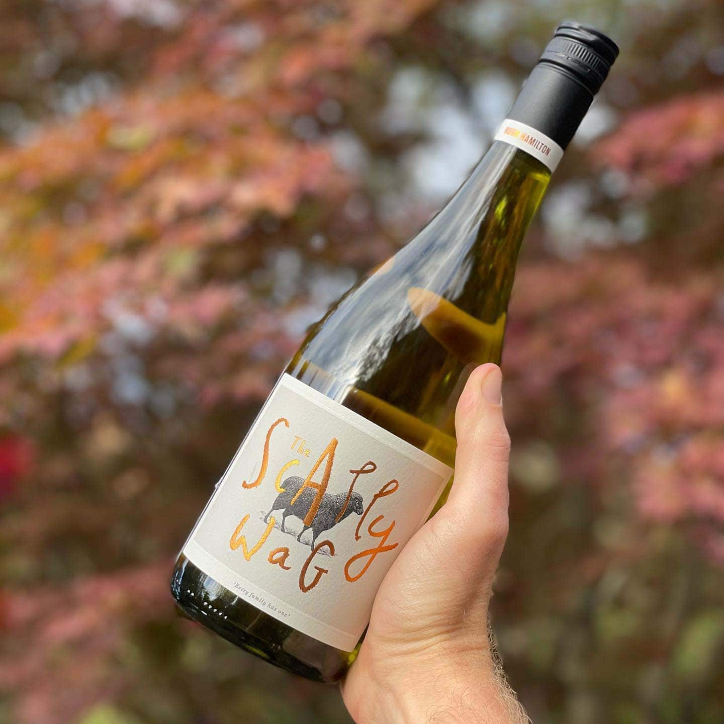 A bottle of wine posed in a mans hand, autumnal orange leaves blurred in the background. 