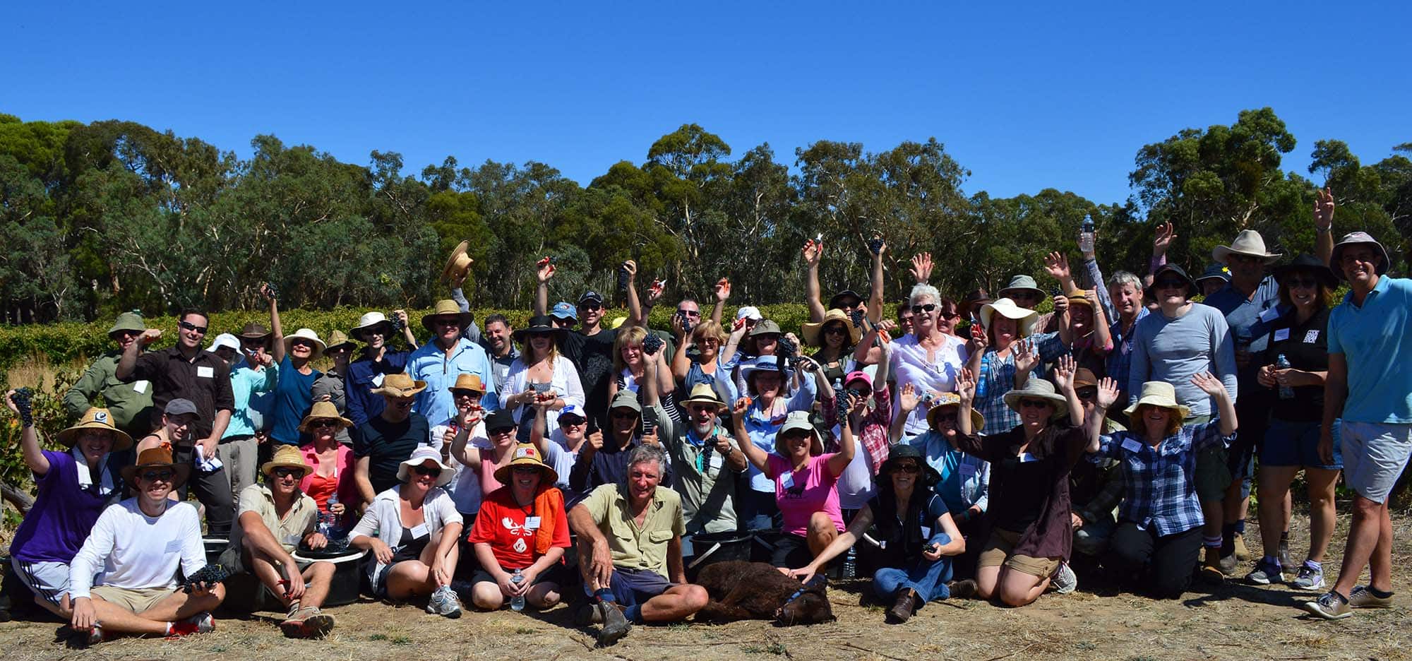 A wide angle shot of Black Sheep Club members, grouped together, smiling, laughing, and waving at the camera. 